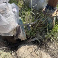 ماطور هندي • أبو ١٠ • سوندة ممص ٨م