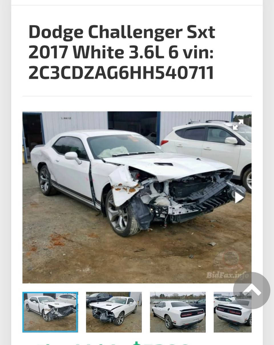 السلام عليكم 
دوج جالنجر V6 SXT 
الموديل 2017 
رقم اربيل 
ماشيه 90 
الضرر جاملغ امامي وجاملغ خلفي بدون دواخل البنيد محدث 
السياره جديده وحلوه مابيها الشخط 
عليها برمجه مراوح وحماوه 
عليها شاشه اصليه مال GT 
تايرات تو سايز اصلي 
وياله سكان باك 
دفيوزر وترتيب زرع عدسات  السياره مصروف عليها خير من الله 
محرك كير تبريد تدفئه كله شرط 
السعر 160 $ 
مكاني صلاح الدين بيجي 
***********
