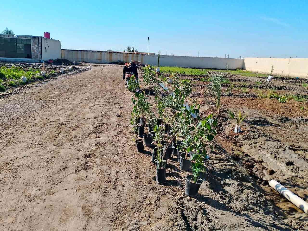 دونم مسيج بلوك مع دنك صب مع مشتمل جاهز للسكن 
مساحه 50في50 حي جوادين بين نزله ثالثه وثانيه 
سعر 100مليون
***********
