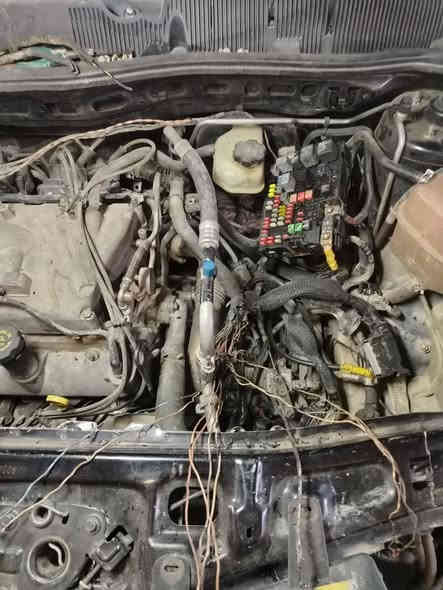 شفر اكونكس 2007
🚘🚘🚘🚘🚘🚘🚘🚘🚘🚘

#اعمال كهربائيه....👇 

#تبديل قبق علبة فيت بم 

#تبديل طوافات وتشغيل كيج البنزين

#صيانة نضام المكابح الالكتروني ال ( ABS)

#تصفير وبرمجة زاوية ستيرنك (مانع الانغلاق) 

#تبديل حساسات ال ABS وصيانة ظفيرة الحساسات

#تبديل وبرمجة ال BCM

#تبديل يدة لايت

#صيانة علبة الافيوزات

#اعادة ربط الهورن

#صيانة ظفيرة المحرك تبديل فيش حساس كرنك وحساس الطرق

#تبديل بلف الحماوه ومعالجة هبوط كيج الحماوه

#ورشة انور سوزوكي كربلاء الحي الصناعي الابلوك الثاني

📱***********

📱***********
