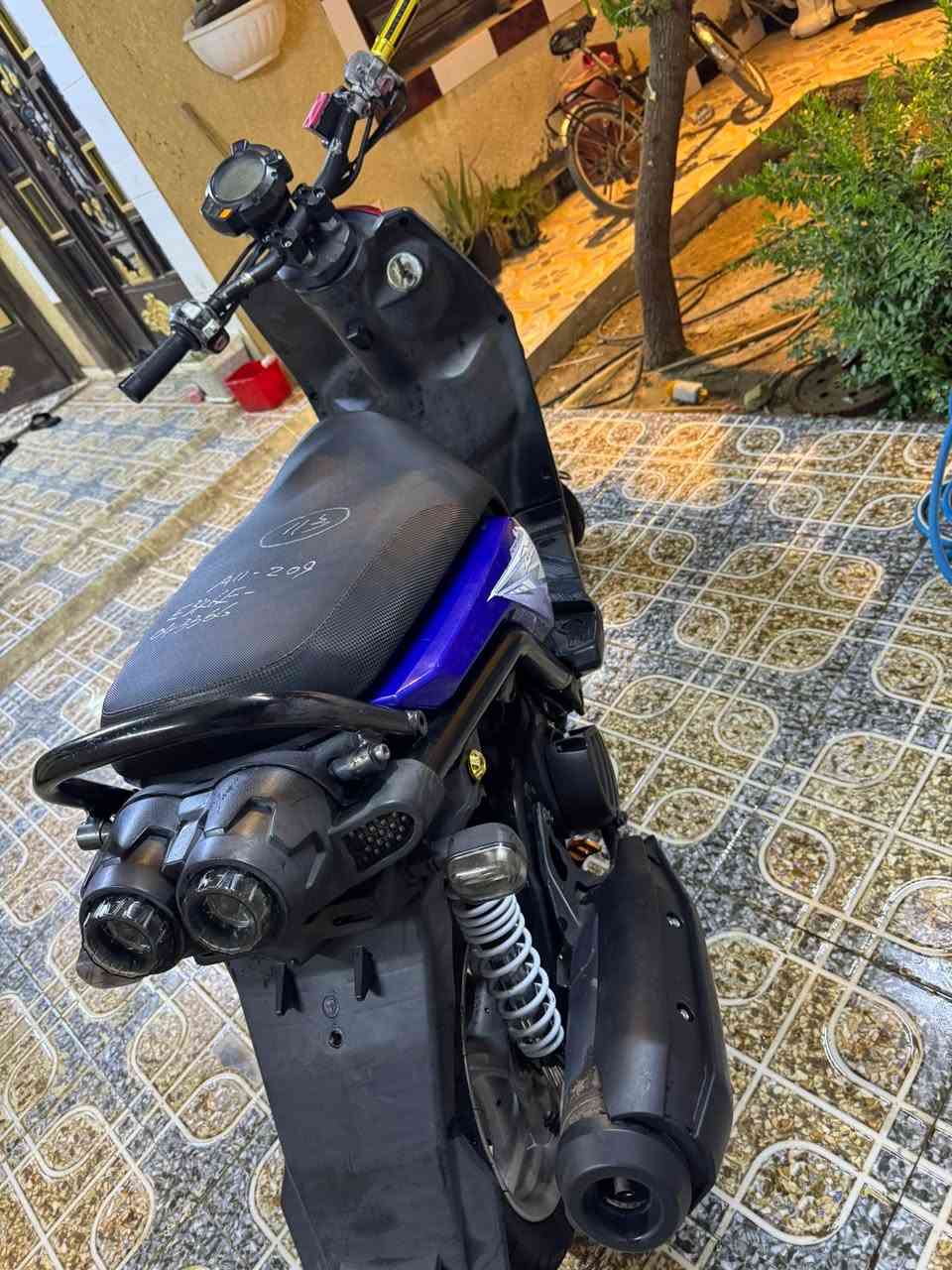 سكنس حبلي للبيع او مراوس السعر ٩٠٠وبيهة مجال ***********
