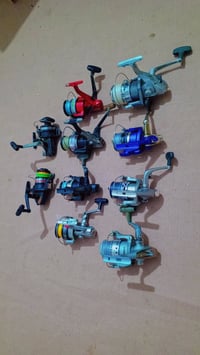 مكاين • أحجام مختلفة • مفرّد