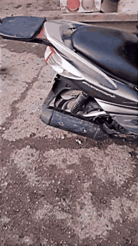 السلام وعليكم ورحمه الله سكنس فحل لبيع مطور جديد حيل طلب عليه750وبي مج...