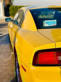 ٢٠١١ • وارد كندي • مكفولة حادث