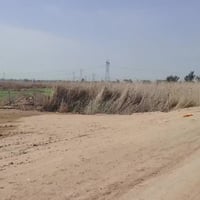 النهروان قريه الرسول • ٤دوانم