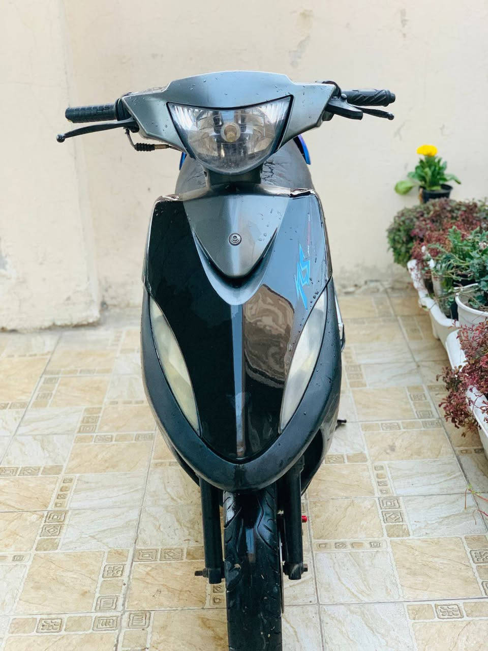 ماكس عدله ياباني 49 بلاد مامفتوحة السعر/450 وبيها مجال عنوان حله مركز المدينة
***********
