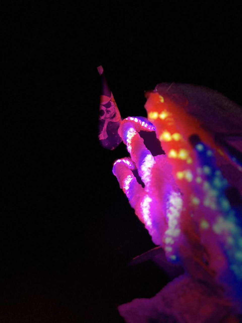 يابه السلام عليكم اخوان سولنك 25 منفيس كامل كله بلادي شرط مكينه بلادي كبس مرتب فولل نشرات درجه شلعه ومعدل ومنين متبوع مرتب سعره 775 وبي مجال رسلني وتساب


**إذا كنت صاحب هذا الإعلان وتريد حذفه لأي سبب، رجاءا أرسل رسالة إلى الدعم الفني**