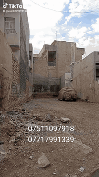 //عروض مكتب صبحي البدراني العقارات//#ارض_للبيع//

//#موقع30تموز//مساحه 170متر سند واقع حال 190//

//صنف العقار سند ملك طابو الايمن//

//الاستفسار اكثر الاتصال على الارقام التالي//
***********
***********
