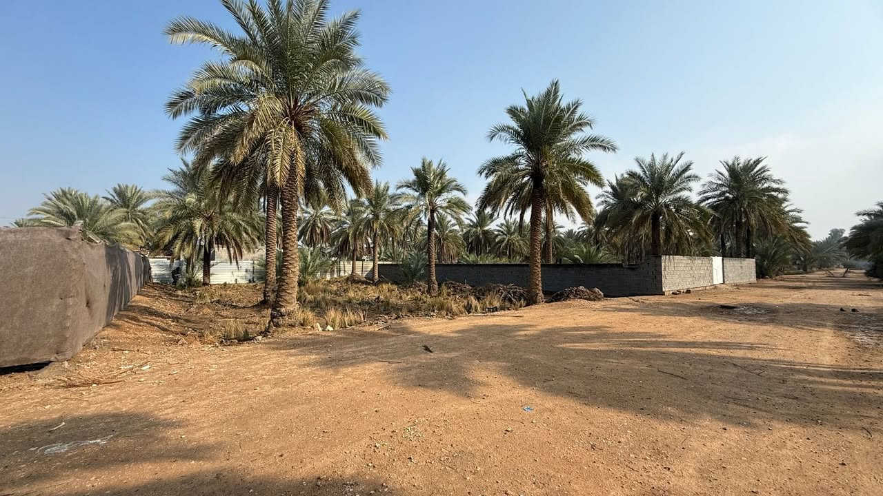 قطعة ارض مساحة ٦٢٥ربع دونم طابو سند ٢٥
طريق بغداد عامود ٣٠٠ تبعد عن الشارع العام ٢٠٠ م

ارض مخدومة وكافة الخدمات ماء كهرباء مجاري وقريباً تبليط 

للاستفسار 

***********
