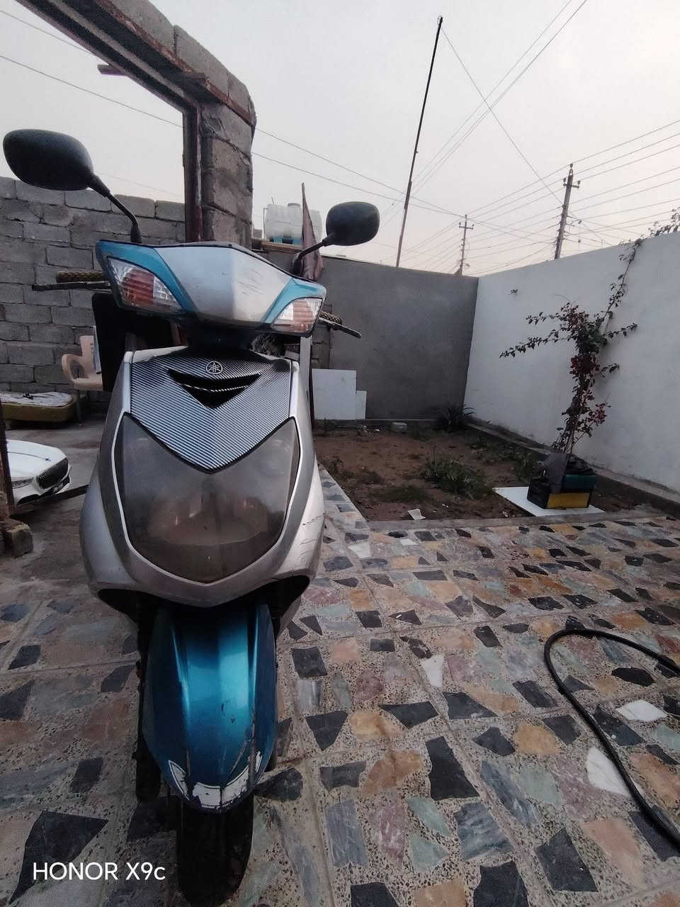 سكنز فحل نوزل السعر ٤٥٠ العنوان بغداد التراث قرب تقاطع درويش الهاتف ***********
