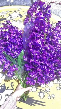 ورد • جديد • مستخدم