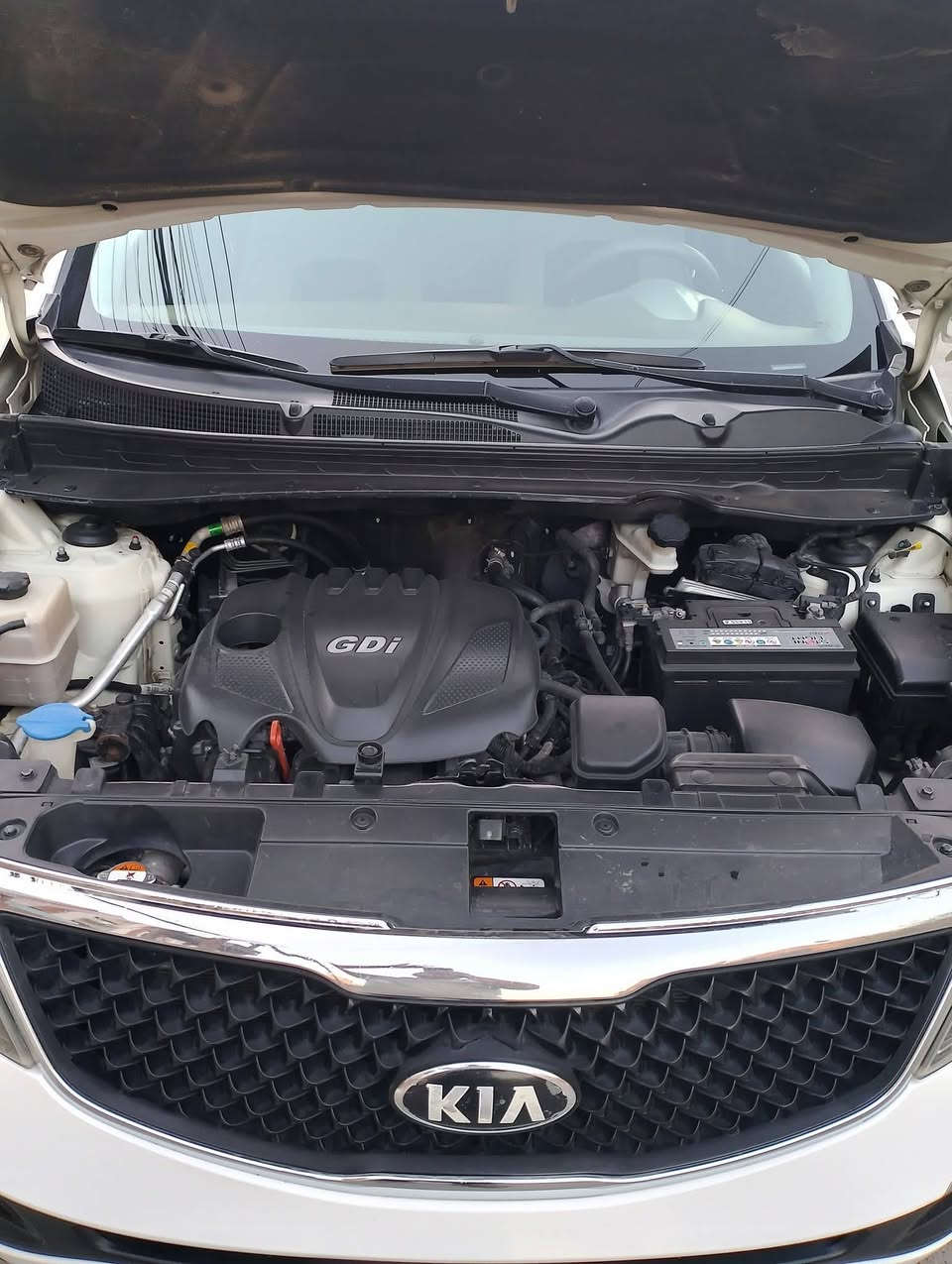 سلام عليكم للبيع او مرواس حسب القناعة
سبورتج وارد امريكي كلين تايتل بدون اي حادث او صبغ ولاتبديل سيارة جديدة كير محرك صدر تبريد بحالة ممتازة ع الشركة مواصفاتها تحكم تبريد قطعتين محرك gdi 2400 رقم سليمانية انگليزي شرط التحويل سعرها 143 وبيها مجال بسيط
اخوان ناشر ويا الصور تقرير امريكا والسونار ومعلومات يمك شراي اتصل ماارد على تعليق مكانها بغداد كرادة 52
***********
***********
