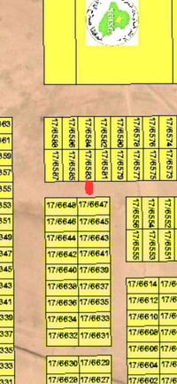الديوم ٦٠٠٠ • ٢٠٠م • ينباع نص