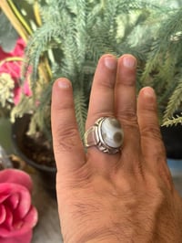 سليمانيه عيون قديمه • بصياغه ثقيله • ناصريه مركز