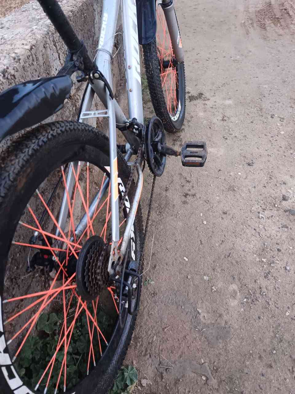 السلام عليكم

يوجد بايسكل للبيع 🚲
السعر ٨٠ وبي مجال ✨
اي استفسار اتصل 📲
***********
