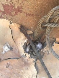 ومن يوكع برج اضل ادك وتلطم شباب خلصت الامطار جيكو ابراجكم كلشي مو بس ا...