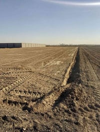 بابو غریب سمیلات • ٢ دونم • طابو زراعي