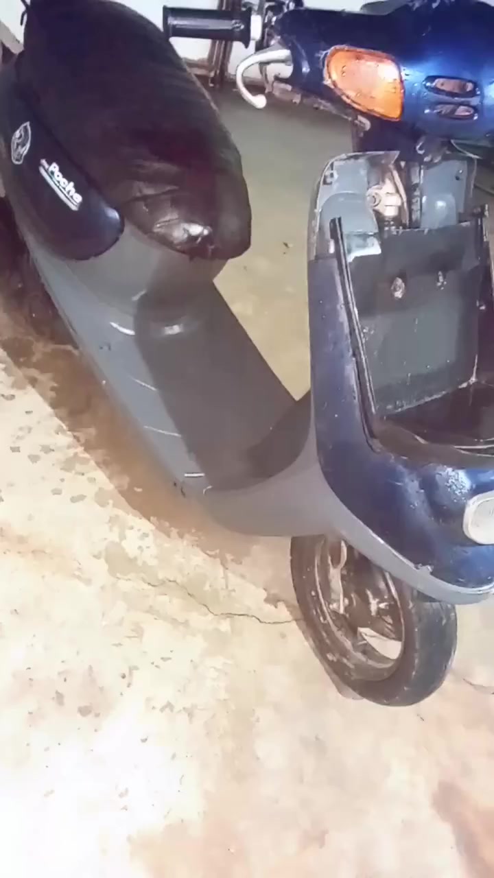 لبيع ماطور كلشي شغال مكينه جديده كلشي ما بيه ليريد بجي خاص او مراوس ويه ماطور بوتين


**إذا كنت صاحب هذا الإعلان وتريد حذفه لأي سبب، رجاءا أرسل رسالة إلى الدعم الفني**