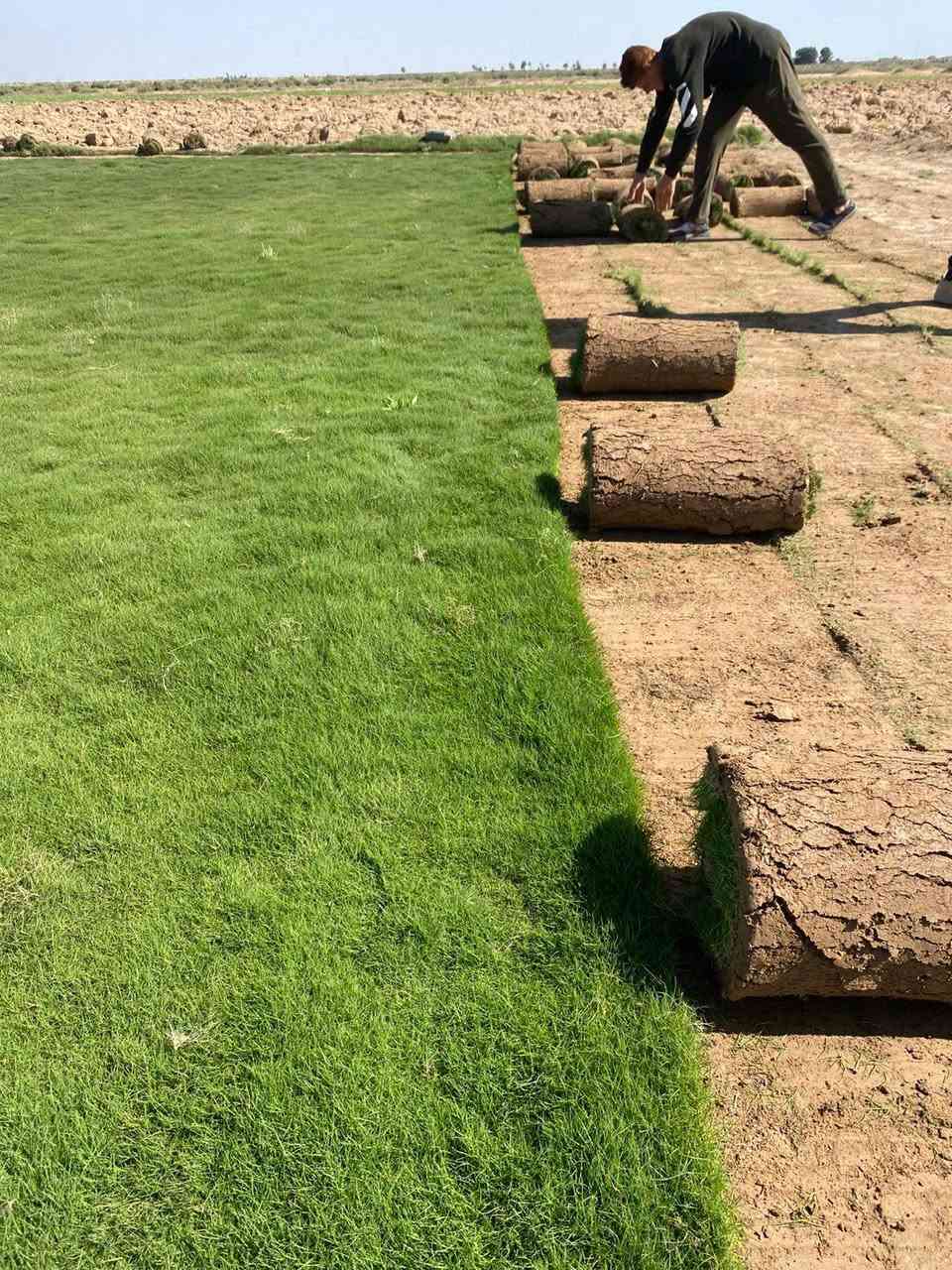 🌿 مزارع ديالى للثيل الطبيعي – جودة بلا حدود! 🌿
💚 نوفر لك أجود أنواع الثيل الطبيعي (هندي درجة أولى) – مناسب لجميع الاستخدامات:
🏡 المنازل | 
🌱سعر المتر المربع 1750 دينار 

🌳 الحدائق | ⚽ الملاعب | 🏢 الدوائر | 🏗️ المشاريع الاستثمارية
✔️ أسعار تنافسية لكل متر مربع
✔️ خصومات خاصة للكميات الكبيرة
✔️ نوفر جميع الأنواع: #هندي | #فرنسي | #إيطالي | #إسباني | #إنكليزي
📦 قدرة عالية على تجهيز كميات ضخمة للمشاتل والملاعب
🌱 نوعية ممتازة وزراعة احترافية – مع كادر متخصص لضمان أفضل النتائج!
🚚 التوصيل سريع، والثيل يصل إليك لباب بيتك!
📞 للطلب والاستفسار:
📲 ***********
📲 ***********
✅ الجودة الأفضل – ✅ الأسعار الأوفر – ✅ الخدمة الأسرع
