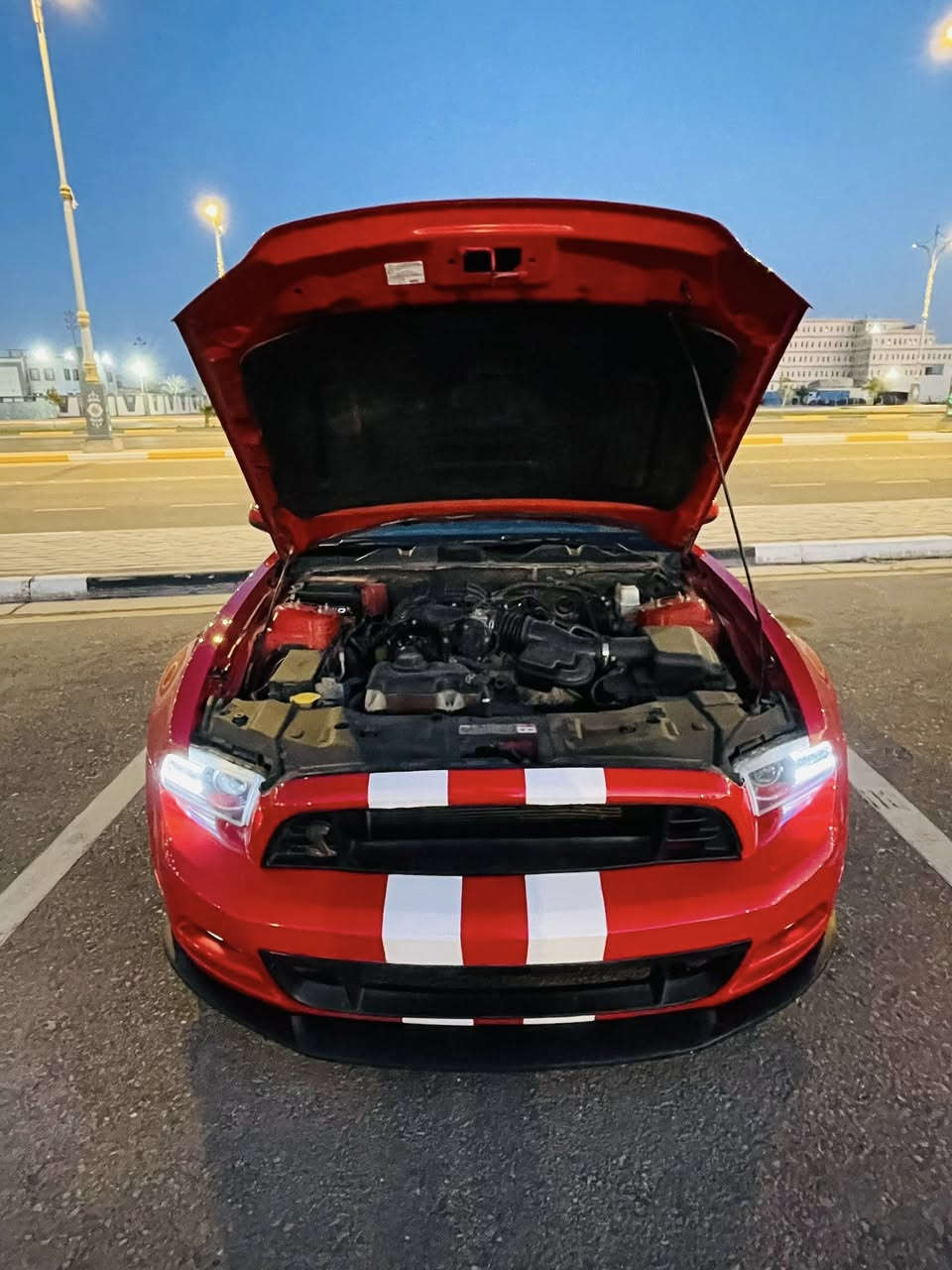 مساء الخير فورد موستنغ2013 المقدس
انظف موستنغ  رقم بغداد بسمي

الدولي بسمي شخصيا 

بجم شلبي 

لحية روش 

وسبايدر شلبي 

دبات روش صوت جي تي 

ريمونت تغلق وتفتح 

بدون برمجة 

مكينة وكير كارتون 

 

سنوية مجددة لل2031 هزة جديدة 

تبريد ثلج علة وضع الشركة 

فول مواصفات بريميوم تجي تختلف عن العادية 

كيجات ألوان ٧الوان متغير 

انارة علة. القدم امامي خلفي متغير 

انارة دائرية بمكان الكلاصات

أنارة باليدة مال أبواب متغير 

سيتستم صوت شيكر دبة مخيفة 

سيارة بجم كبس وضهر كبس حادثة جدا حلو جاملغ خلفي وباب

وصور الحادث بالمنشور سيارة صبغته حزام اثر جارد وعندي صوره قبل الصبغ بيدي صبغته وجدا طبيعي الصبغ بهذا الموديل سعره مناسب 105

مكانه كربلاء جامعة السبطين***********
