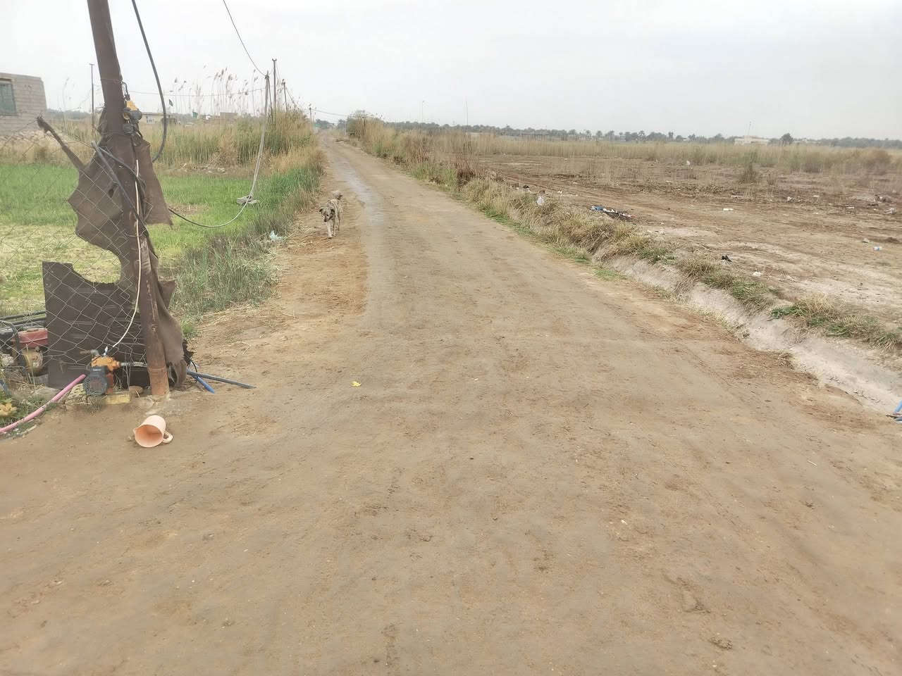 سلام عليكم كاع مساحه 3 دونم اله ربع العقد 17 الكاع بيه بيتين بيت مساحته 200 ولثاني 150  متوفر كهرباء وماء العنوان الجماليه السعر 115 وبيه مجال لشراي الاتصال عله رقم ***********
