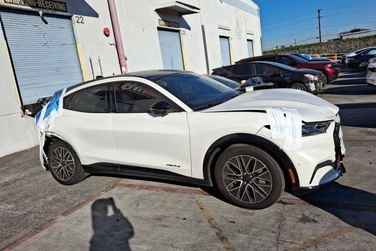 للبيع او مراوس 2024
‏ FORD MUSTANG MACH-E Premium 
فورد موستنك ماك-اي
‏بريموم 
تكون اعلى فئة 
تمشي بالشحنة الكاملة 390 كيلو
‏Full Electric 
 كهربائية بالكامل
السيارة بحالة الوكالة ماشية 15 مايل فقط
حادثها قبق الجنطه تبديل + جاملغ خلفي صبغ وشويه من البنيد انصبغ 
السيارة على وضع الوكالة استيراد شخص واحد
بطارية ليثيوم أيون
 البطارية جبيره
مداخل شحن (AC/DC)
تستلم مرقم شهداء  
المواصفات : بصمة فتح وتشغيل/ مثبت سرعة/  ترحيب /انارة محطية 12 لون/
شاشة بحجم 15,5 بوصة/ 3أنظمة قيادة/ Navigation / أضوية زنون/ كشافات ضباب LED/ غمازات على المري/ مري كهرباء/ بلوتوث/ سنتر لوك/ زجاج كهربائي (Full Auto)/ مثبت سرعة/  4 بصمات
بانوراما |panorama view 
شاشة تدعم اللغة العربية | Arabic screen 
حساسات أمامية وخلفية | Front & Back sensors 
تحكم طارة  | control wheel
صندوق كهربائي | Electric Back Door 
انارة داخلية مخفية | Concealed interior lighti
كاميرات محيطية 360 | cameras 360 
رادار تفاعلي ذكي | Adaptive cruise control 
كراسي جلد | Leather seats 
كرسي مدفأ | Heated seat
كرسي كهربائي | Electric seat
كرسي ذاكرة | memory seat
نقط عمياء | Blind spot 
مري جانبية قابلة للطي | Foldable side mirror
شاحن لاسلكي | wireless charger 
‏B&O sound system | نظام صوتي B&B‏Apple CarPlay Android Auto***********
متواجد واتساب بغداد, العراق
