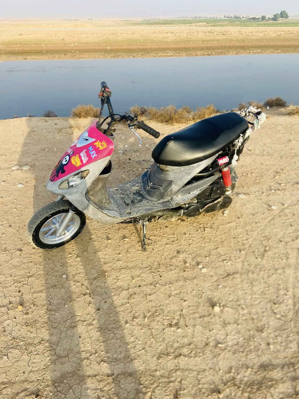 ‏سلام عليكم منغولي للبيع ونظيف بو شي 55✈️✌️
￼￼ 450 وبي مجال￼***********
