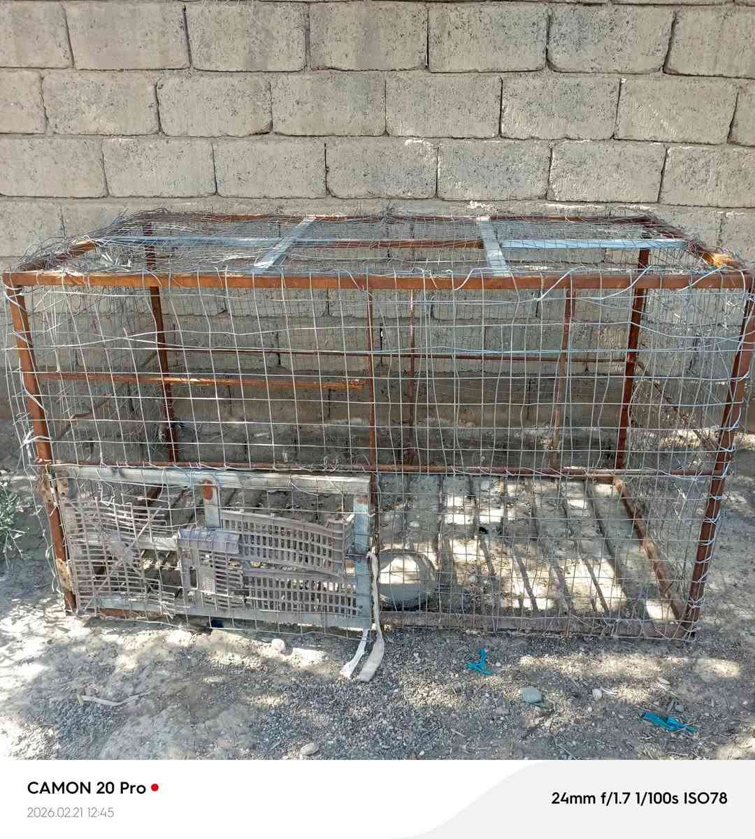 السلام عليكم
موجود قفص للببع
الطول مترين
العرض متر
الارتفاع متر
قفص جديد يرهم لكل شي
الرقم***********
