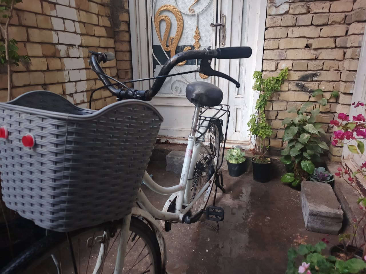 سلام عليكم باسكل البيع ب كربلاء قفل 50 نضيف كلش مكاني حي العباس اي عطل مابي رقمي بي وتساب ***********
