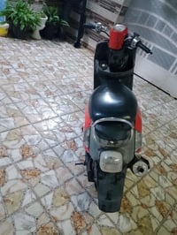 بوليس • فول الفول • ديالى الخالص