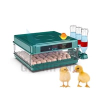 فقاسة بيض أوتوماتيكية • ٥٠ بيضة • توصيل مجاني