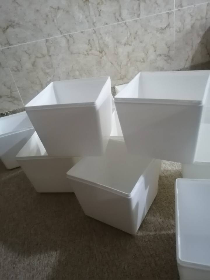 سنادين عدد ١٢ ممستعمل مو مزروف حجم ٦ اصبع يرهم للوردة صباح ويا دبة سعر شلع 10 الف عنوان شوراو


**إذا كنت صاحب هذا الإعلان وتريد حذفه لأي سبب، رجاءا أرسل رسالة إلى الدعم الفني**