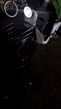 سلام عليكم دراجه شحن حجم 20 موديل 23 مكان بغداد حريه تايرات جدد بريكات جدد بطاريات جدد سعر 250وبيه مجال تواصل***********
