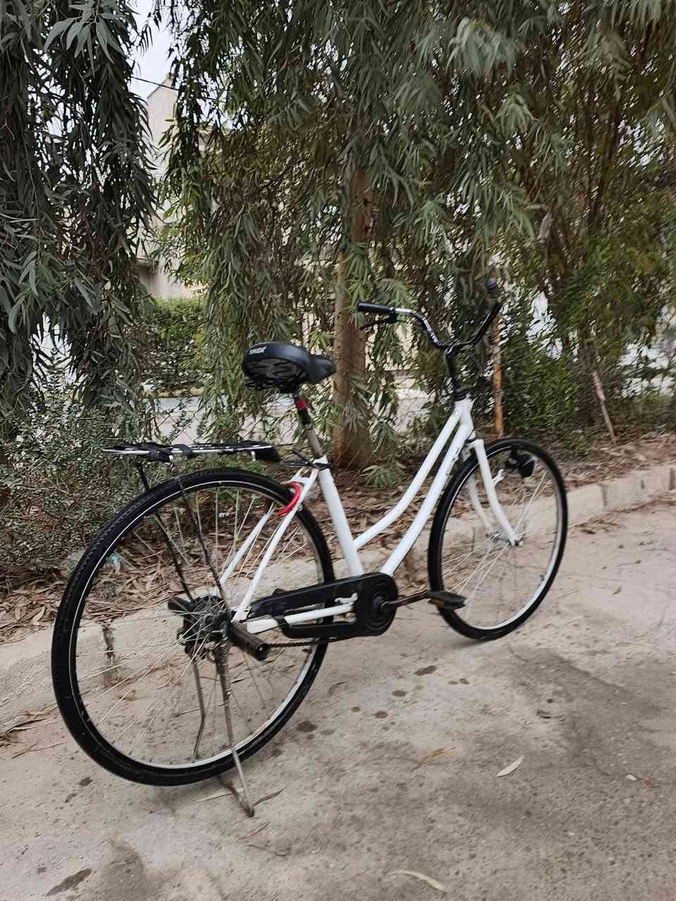 عبد الحليم
2022

ابيض 

نضيف

بريك كدام مابي

طفاريات موجوده

80وبي مجال

***********

ماشراي لا تخابر يرحم والديك
