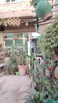 بيت للبيع ١٥٠ متر شعب شارع صحا خلف مطعم محمد الكردي سعر ٢٥٠ بي مجال يح...