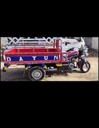 الستوته • مكفوله • الماجديه