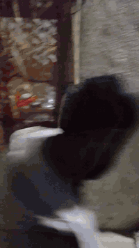 السلام عليكم بيت للبيع 200 متر طابقين الحميديه 
الاستفسار على الهاتف *********** بيه وتساب
