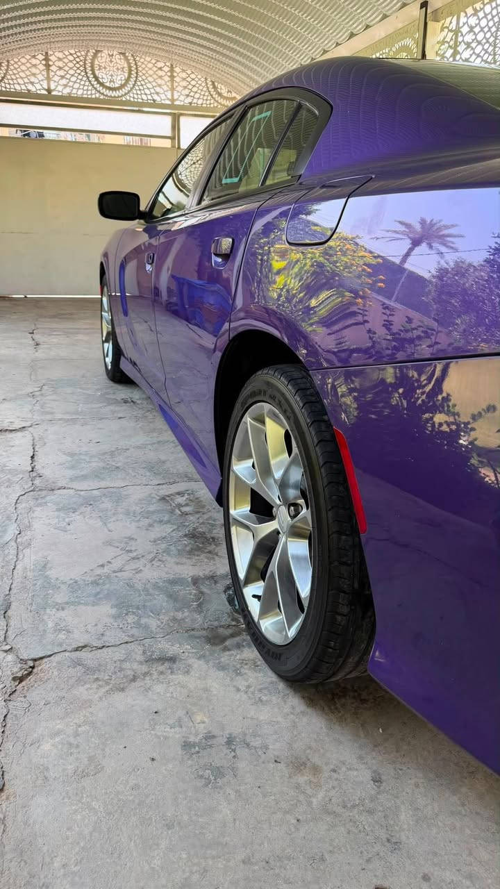 جارجر. جي تي بلاص GT موديل 2019 خليجي وكاله هارلم مكفولة.  المحرك. 3600. V6  سوبر تراك باك 
بيها بارد على كد شبر بباب السائق ورصعه بالبنيد فقط
رقم بغداد. لون بنفسجي مميز 
العداد. 67 الف ميل 
بيها منظومه غاز حكومي 
المواصفات. فول 1 - 1 
رادار امامي + جانبي + نقطه عمياء + حساس خلفي + كامره + فتحة سقف. سلايد 
المقاعد الأمامية حضن + كهرباء + تبريد تدفئة + الخلفيه تدفئة 
الاستيرن كهربائي + تدفئة + شفتات ستيرن 
كشنات شامواه + جلد لون اسود + ميموري 
ويل 20 بلادي اصلي 
سستم صوت. الباين 
وبعد بيها هواي مواصفات
سعرها. 26 الف $ مكانها بغداد ***********📞
