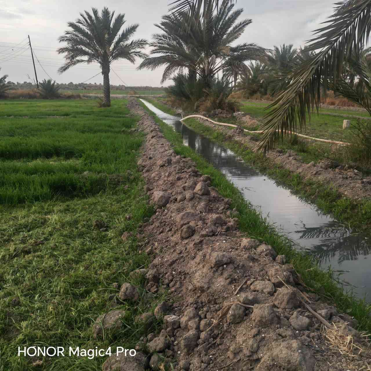 السلام عليكم اخواني الأعزاء
يتوفر لدينا 10دونم طابو ملك صرف بستان 

خدمات الأرض ماء سقي كهرباء أسألة سكن خدمات الأرض كاملة تصلح انشاء مزارع أو شاليهات أو استثمار 
موقع الأرض مميز جدا 
البصام على طابو الكاظمية فتح بيان وتحويل

فرصة ذهبية 

تبعد عن مركز مدينة بغداد نص ساعة أو أقل 

للإستفسار أكثر مراسلة الصفحة أو الاتصال على الأرقام التالية ***********📞
***********📞
***********📞
