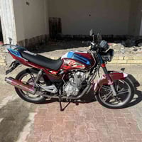 موديل 2023 • كامل • أوراق بدون كمرك