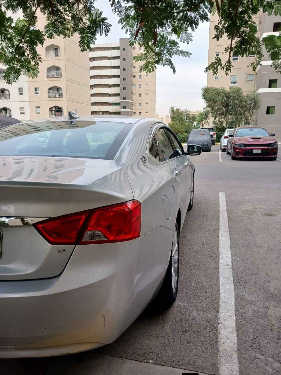 للبيع فقط امبالا شكل جديد
السعر 110 ورقة وبيهة مجال قليل جدا للشراي
موديل 2017 رقم سليمانية ، مكانها بغداد مجمع بسماية السكني
صور الحادث والسونار موجودات بالصور
ماشية  (93 الف كم)
سيارة تحويل سنوية نعتذر عن الوكالة
سنوية لغاية 2029
رقم جديد انكليزي
اشارة بالمرايات مع ترحيب
محرك 4 سلندر 2500 مفتوح شرط لاصرف ولابخار ولادوانز
داخل لونين رصاصي واسود
شاشة كبيرة قاصة
حساسات خلفية
ادامة كاملة عليهة متحتاج مصرف
ملاحظات
جاملغ جهة السكن مبدل بلادي نفس اللون 
البنيد صبغ
باب الصدر صبغ 
حسب ما موضح بالسونارات عدد 2 وصور الحادث بغداد, العراق


**إذا كنت صاحب هذا الإعلان وتريد حذفه لأي سبب، رجاءا أرسل رسالة إلى الدعم الفني**