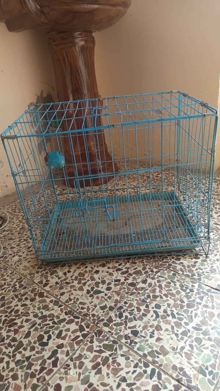 غراض للبيع بسعر مناسب
غساله ملابس حجم كبير  سعرها / ١٢٥
شاشه بدون نت حجم ٤٢ سعرها / ١١٠ 
غسالة اطفال حوضين حجم صغير سعرها / ٦٠ 
قفص عدد ٢ سعرها /٤٠ 
كلها بيهــآ مجال قليل


**إذا كنت صاحب هذا الإعلان وتريد حذفه لأي سبب، رجاءا أرسل رسالة إلى الدعم الفني**