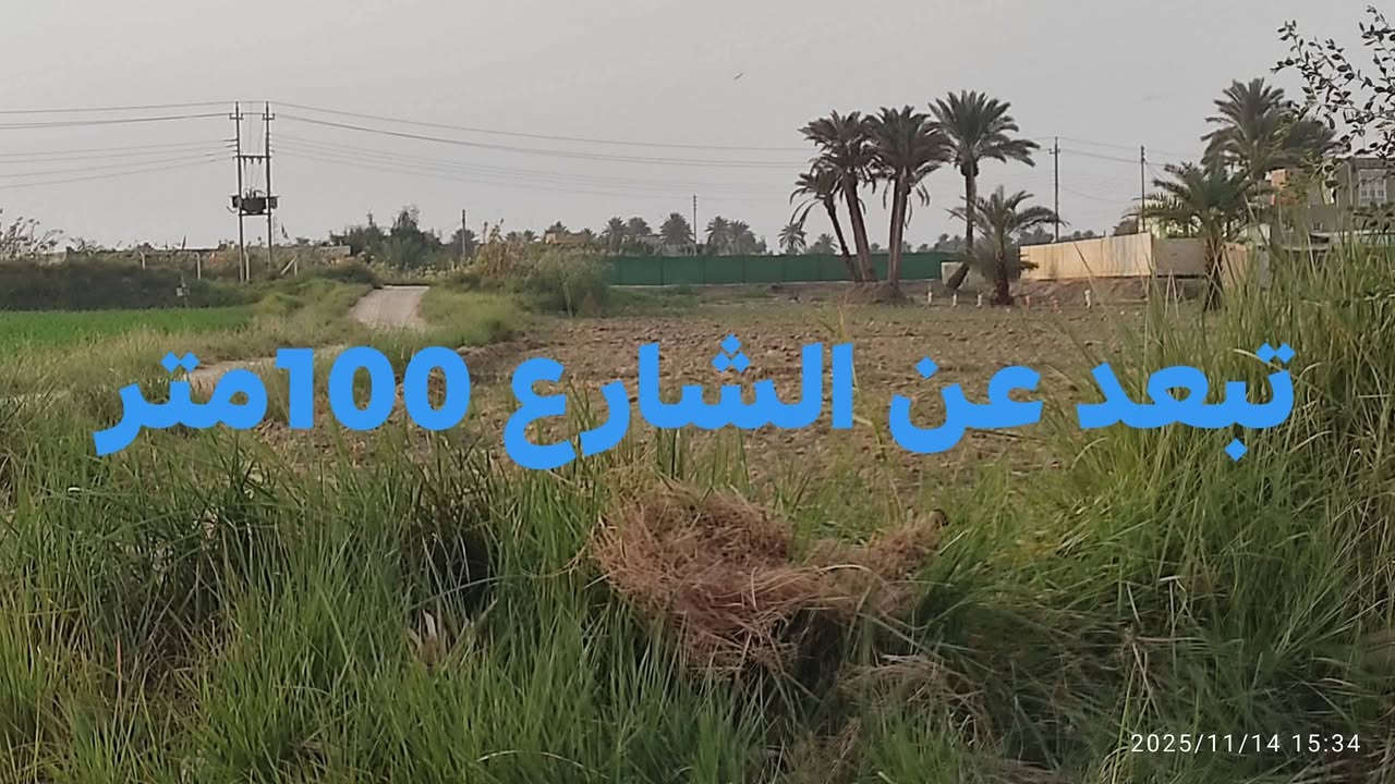 دونمين البيع في الدغارةمرمض  ***********
