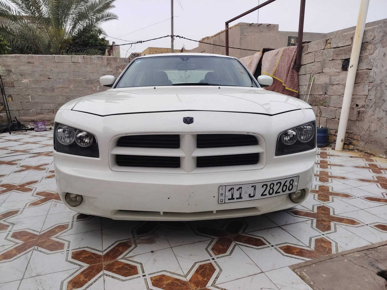 للبيع او مراوس
جارجر موديل 2009

خليجي

رقم بغداد انكليزي

الون ابيظ صدفي 

محرك 3500 كفاله

فول مواصفات

فتحت قماره شغاله

كشنات جلد اسود بلاد

شاشه لمس قلابه بلاديه

تدفئة كشنات

كامره خلفيه

حساسات خلفيه بس متشتغل ماعرف شبيهن

حداديه قبل اسبوعين شاده جديد

منظومة زنون شمسي

تدفئه تبريد شغال

تخم تاير جديد قبل فتره

ويل 17 مال جارجر حديث

زوج لايت جديد شاده

بلاجكتور دعاميه شغال

ريمونت فتح ‌‌± تقفيل شغال

سياره جديده مال جناي تاخذه تدعيلي ولله

سستم سماعت وصوت موطبيعي

سياره باعافيه ع الياخذه

السياره ظرره جاملغ وبنيد

عندك خياس مكدار اصبع بالجاملغ الخلفي الايسر تقريبا  اصبع ممعمره

اخوان تجي تكلب السياره وتفحص تكمل يلا اكاتبك

حتى منتفاشل

اخوان كلشي شرحت يرحم والديكم 

السعر 110

الاتصال ***********

العنوان ديوانيه
