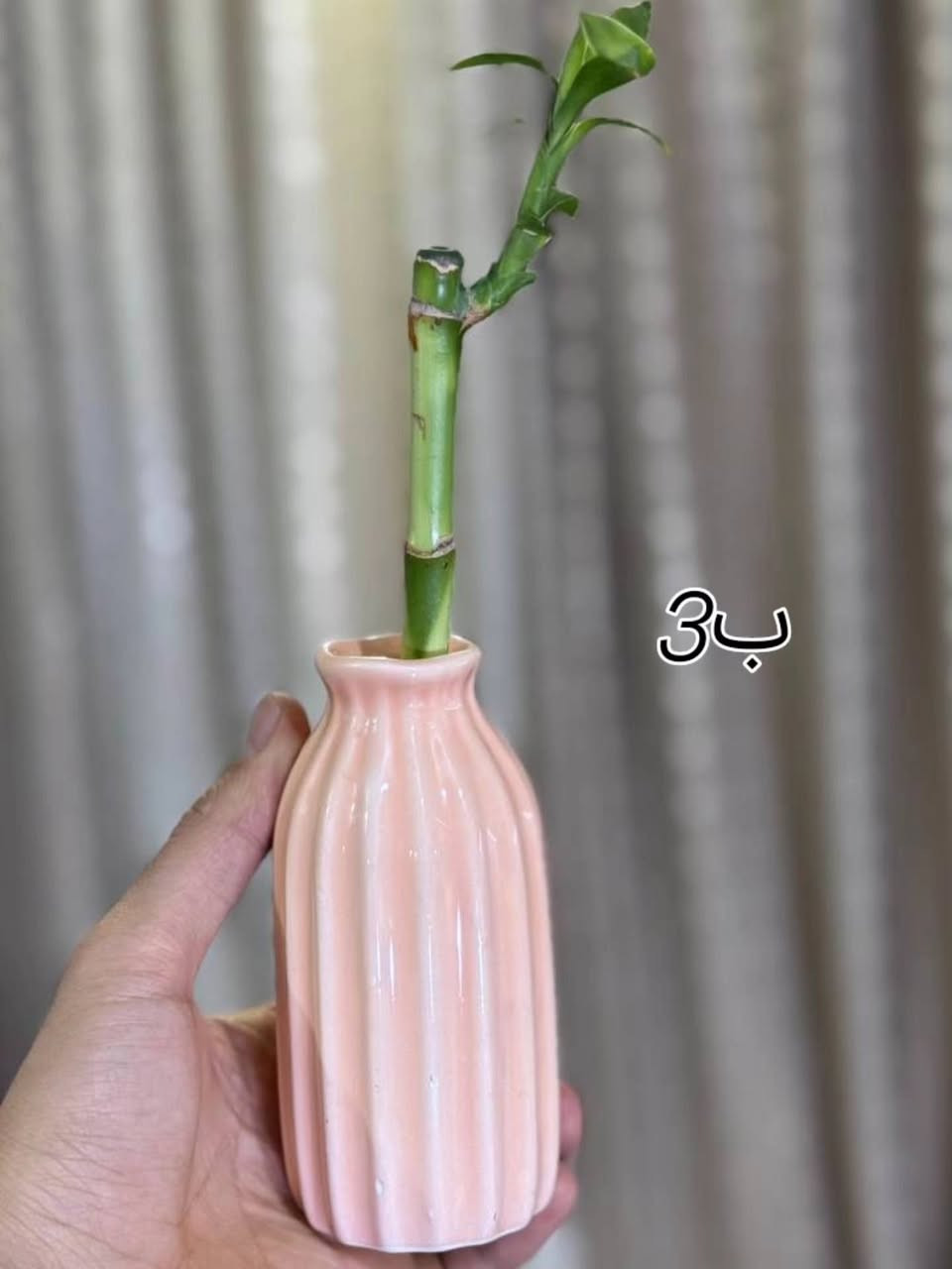 متوفر توصيل جميع محافظات العراق 🚕
لأي استفسار أو طلب راسلنا خاص 📩


**إذا كنت صاحب هذا الإعلان وتريد حذفه لأي سبب، رجاءا أرسل رسالة إلى الدعم الفني**