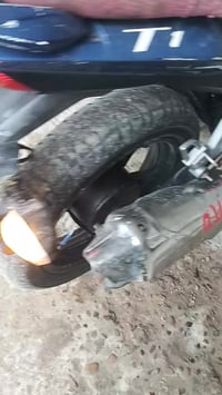 بطح • بدون اوراق • الفلوجة