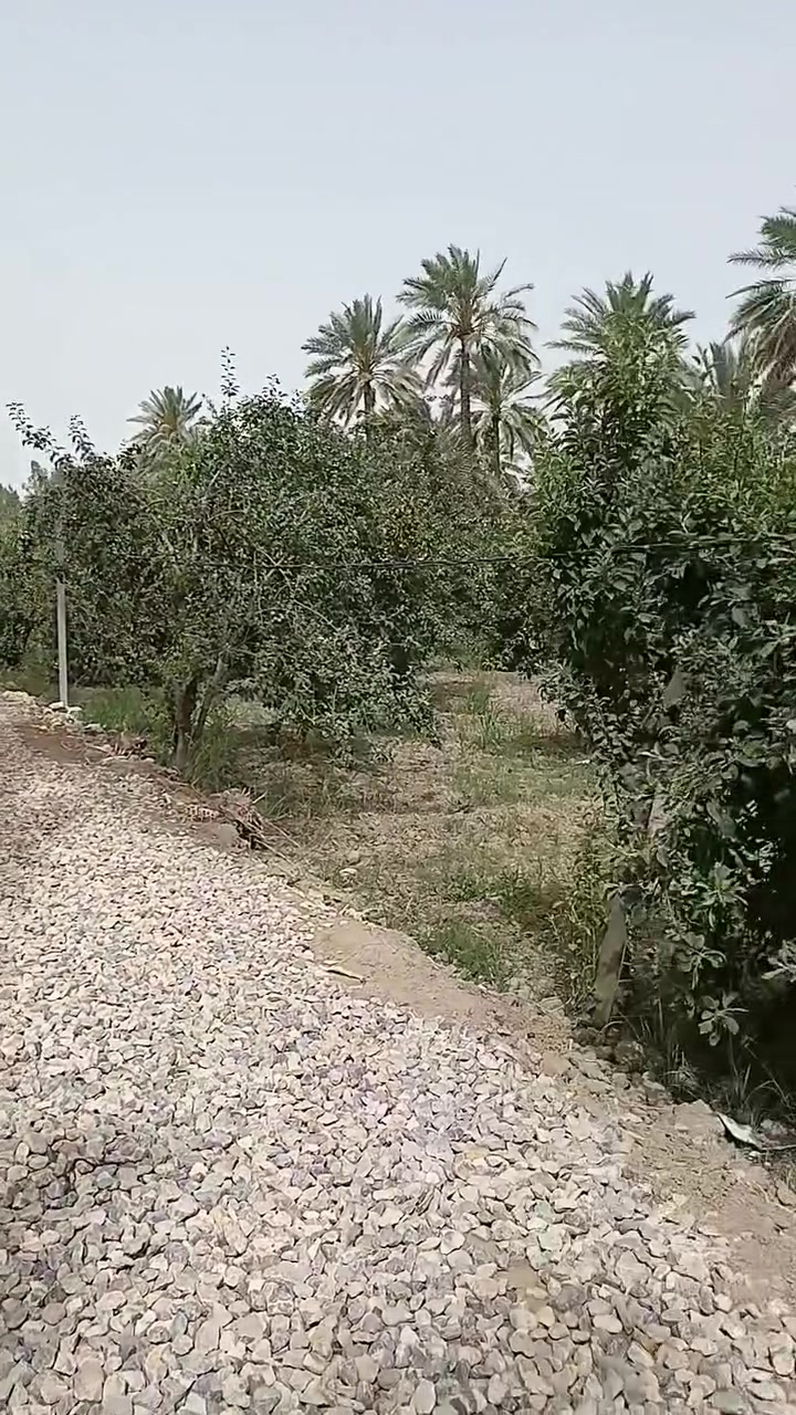 السلام عليكم و مساكم الله بالخير و العافية متابعين صفحتنا الأعزاء
اليوم توفر عندنا دونم طابو صرف في قضاء الصويرة / سدة بيت حسوني
#للبيع او الاستثمار يصلح كمزرعة للإيجار 
للإستفسار او للإعلانات العقارية او التجارية 
الاتصال على الرقم ***********
موجود واتساب
