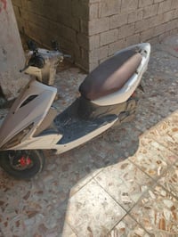 ماكس • مضلع • مكفوله