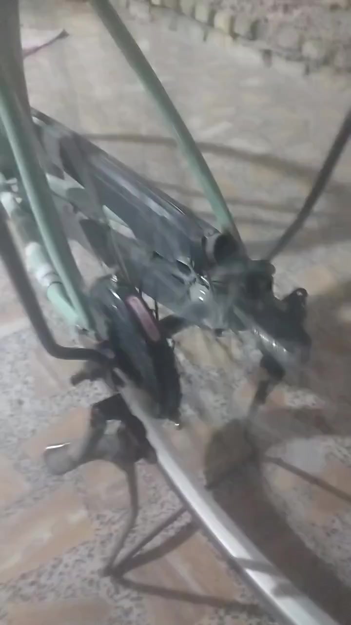 سلام عليكم باسكل لبيع مال باله نضافته ٨٠ موديله ١٨ وسعره ١١٠ وبيه مجال


**إذا كنت صاحب هذا الإعلان وتريد حذفه لأي سبب، رجاءا أرسل رسالة إلى الدعم الفني**