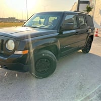 جيب باترويت • ٢٠١٧ • يك پارچة صبوغ